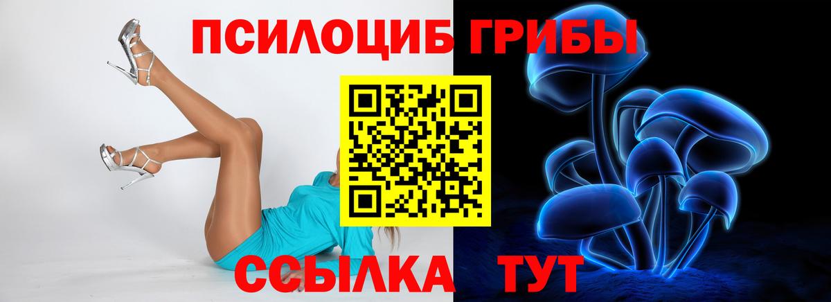 Галлюциногенные грибы Cubensis Борисоглебск